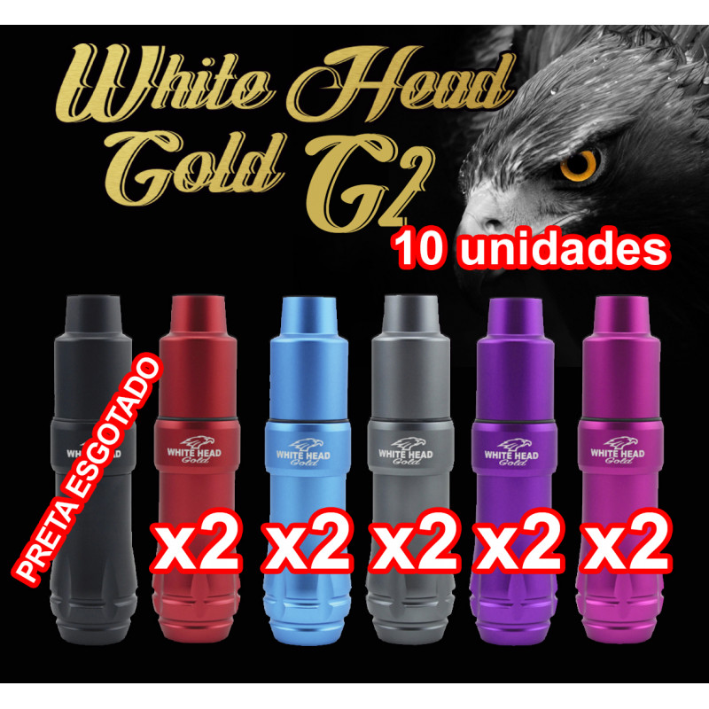 KIT 5 CORES PEN WHITE HEAD GOLD (G2) REF: PK208 ( 10 unidades)